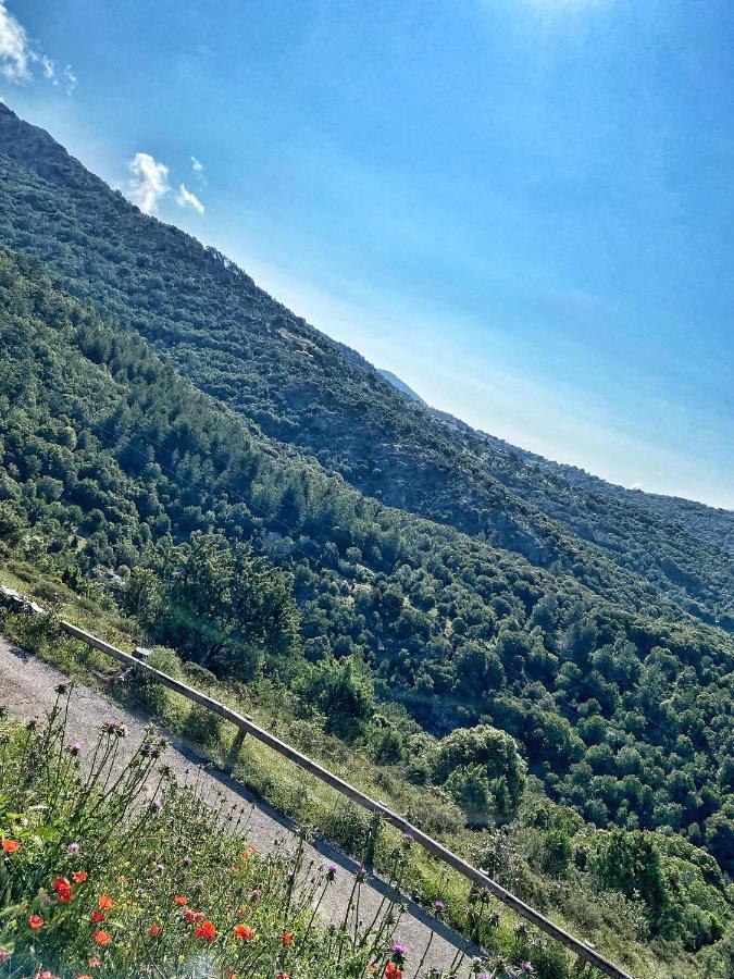 U Pasturellu Panzió Pioggiola Kültér fotó