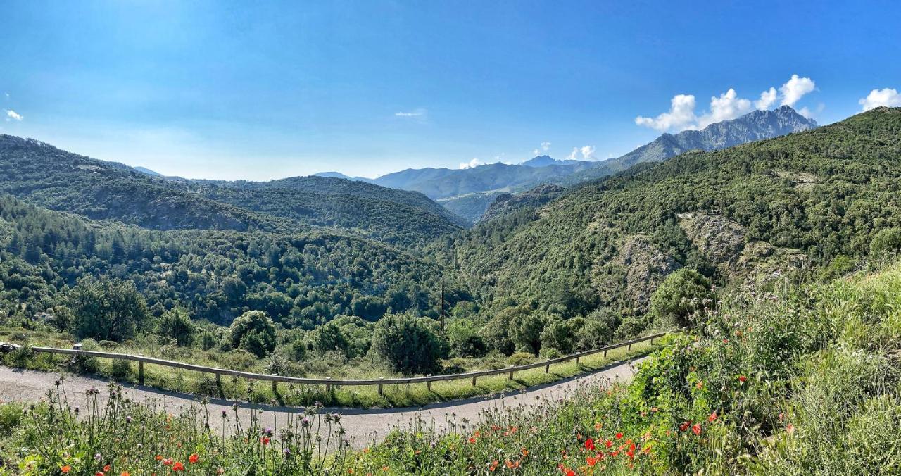U Pasturellu Panzió Pioggiola Kültér fotó