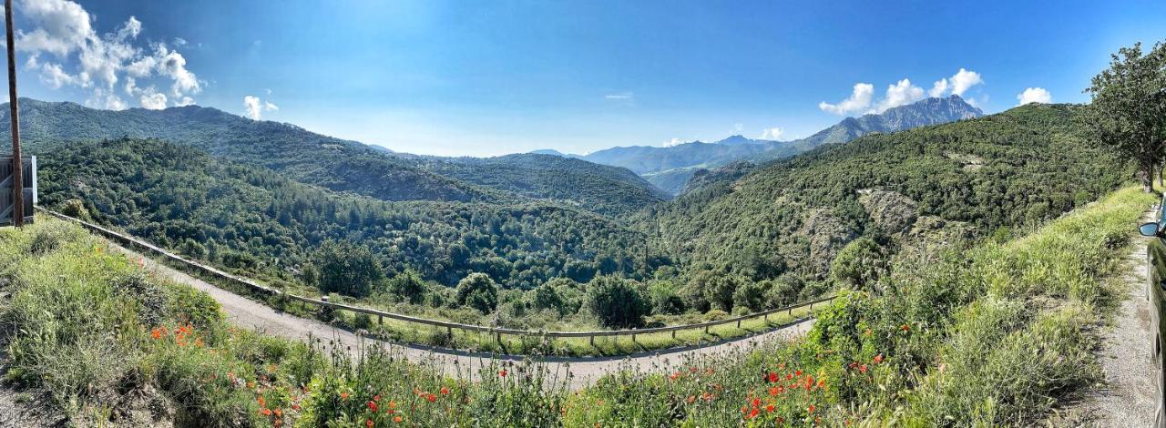 U Pasturellu Panzió Pioggiola Kültér fotó